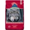 Blue Buffalo Wilderness Salmon Recipe Grain-Free Dry Dog Food (24 Lb)