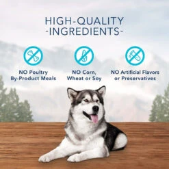 Blue Buffalo Wilderness Trail Treats Grain-Free Salmon Biscuits Dog Treats, 10-oz Bag -Blue Buffalo blue buffalo wilderness trail treats grain free salmon biscuits dog treats 10 oz bag 78