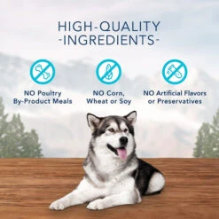 Blue Buffalo Wilderness Trail Treats Grain-Free Turkey Biscuits Dog Treats, 10-oz Bag -Blue Buffalo blue buffalo wilderness trail treats grain free turkey biscuits dog treats 10 oz bag 44