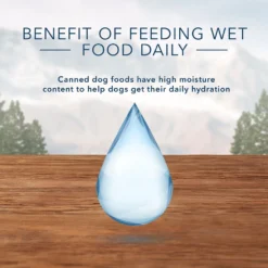 Blue Buffalo Wilderness Turkey & Chicken Grill Grain-Free Senior Canned Dog Food (12.5oz X 12) -Blue Buffalo blue buffalo wilderness turkey chicken grill grain free senior canned dog food 12 5oz x 12 91