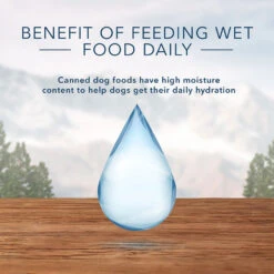 Blue Buffalo Wilderness Turkey & Chicken Grill With Oats & Barley Adult Wet Dog Food (12.5oz X 12) -Blue Buffalo blue buffalo wilderness turkey chicken grill with oats barley adult wet dog food 12 5oz x 12 89