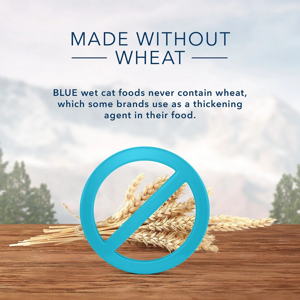 Blue Buffalo Wilderness Turkey Grain-Free Canned Cat Food (5.5oz X 24) 4 Blue Buffalo Wilderness Turkey Grain-Free Canned Cat Food (5.5oz X 24) - Image 4