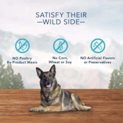 Blue Buffalo Wilderness Wild Bones Grain-Free Large Dental Dog Treats, 10-oz Count Varies 11 Blue Buffalo Wilderness Wild Bones Grain-Free Large Dental Dog Treats, 10-oz Count Varies -Blue Buffalo blue buffalo wilderness wild bones grain free large dental dog treats 10 oz count varies 89