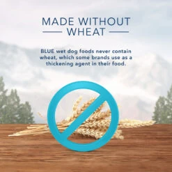 Blue Buffalo Wilderness Wild Cuts Trail Toppers Chunky Salmon Bites In Hearty Gravy Dog Food Pouch (3 Oz) -Blue Buffalo blue buffalo wilderness wild cuts trail toppers chunky salmon bites in hearty gravy dog food pouch 3 oz 77