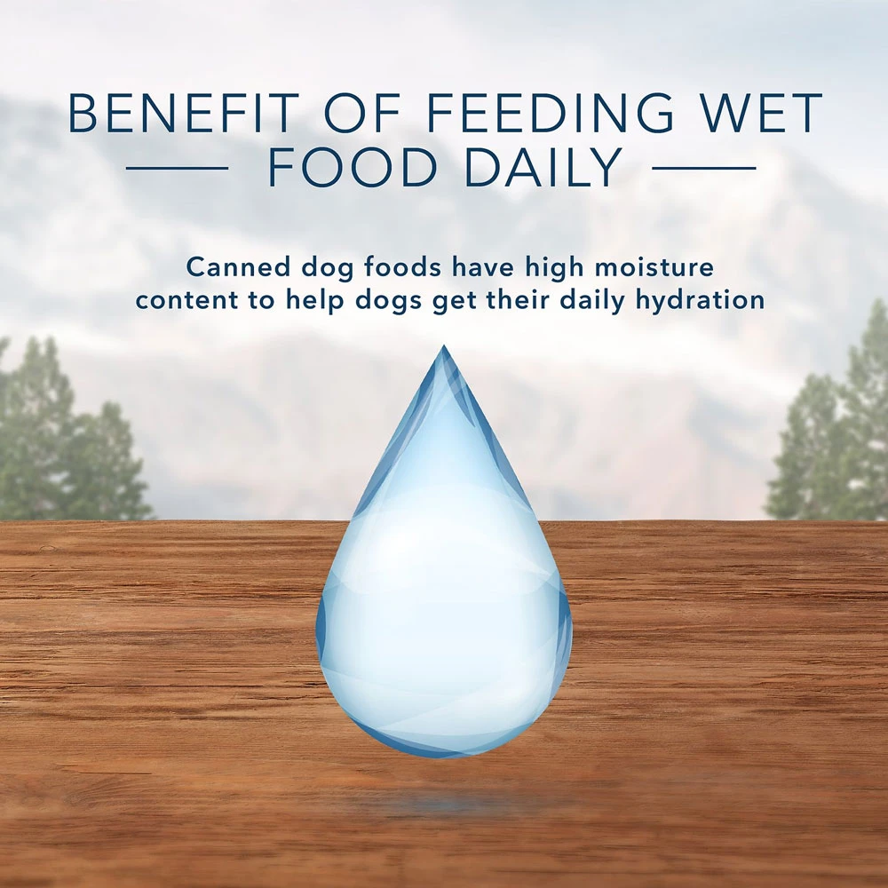 Blue Buffalo Wilderness Wolf Creek Stew Hearty Beef Stew Grain-Free Adult Canned Dog Food (12.5oz X 12) 6 Blue Buffalo Wilderness Wolf Creek Stew Hearty Beef Stew Grain-Free Adult Canned Dog Food (12.5oz X 12) - Image 6