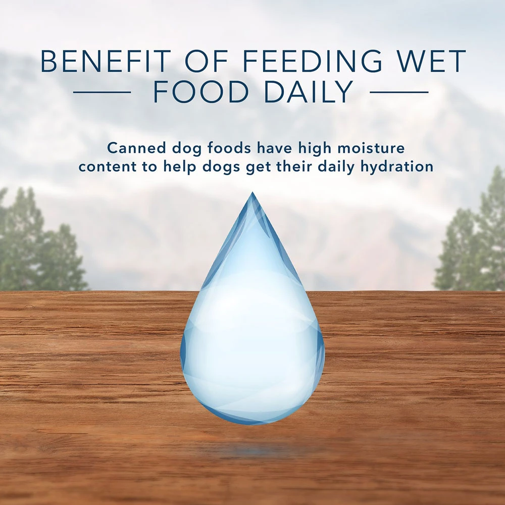 Blue Buffalo Wilderness Wolf Creek Stew Hearty Duck Stew Grain-Free Adult Canned Dog Food (12.5oz X 12) 6 Blue Buffalo Wilderness Wolf Creek Stew Hearty Duck Stew Grain-Free Adult Canned Dog Food (12.5oz X 12) - Image 6